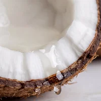 MCT Oil Powder