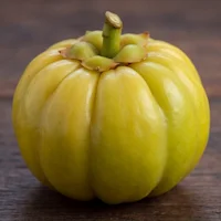 Guarana Seed Extract